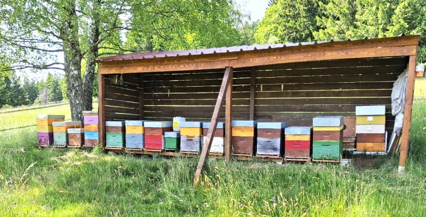 Mairie de Liézey : producteurs locaux, le rucher le Blanchefontaine